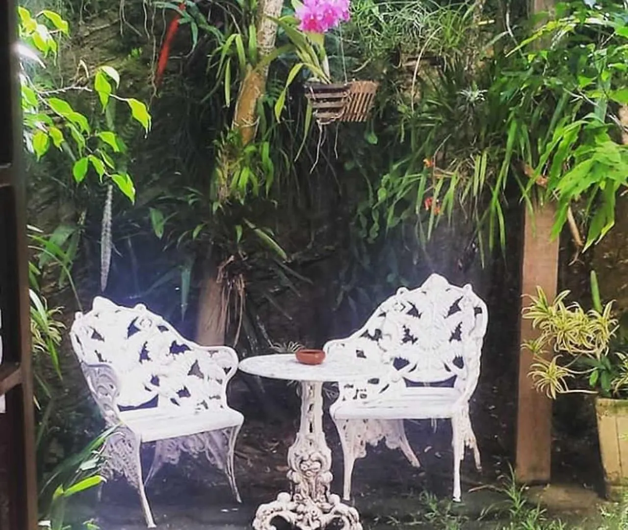 Ayruma Guest House Cabo Frio 0*,
